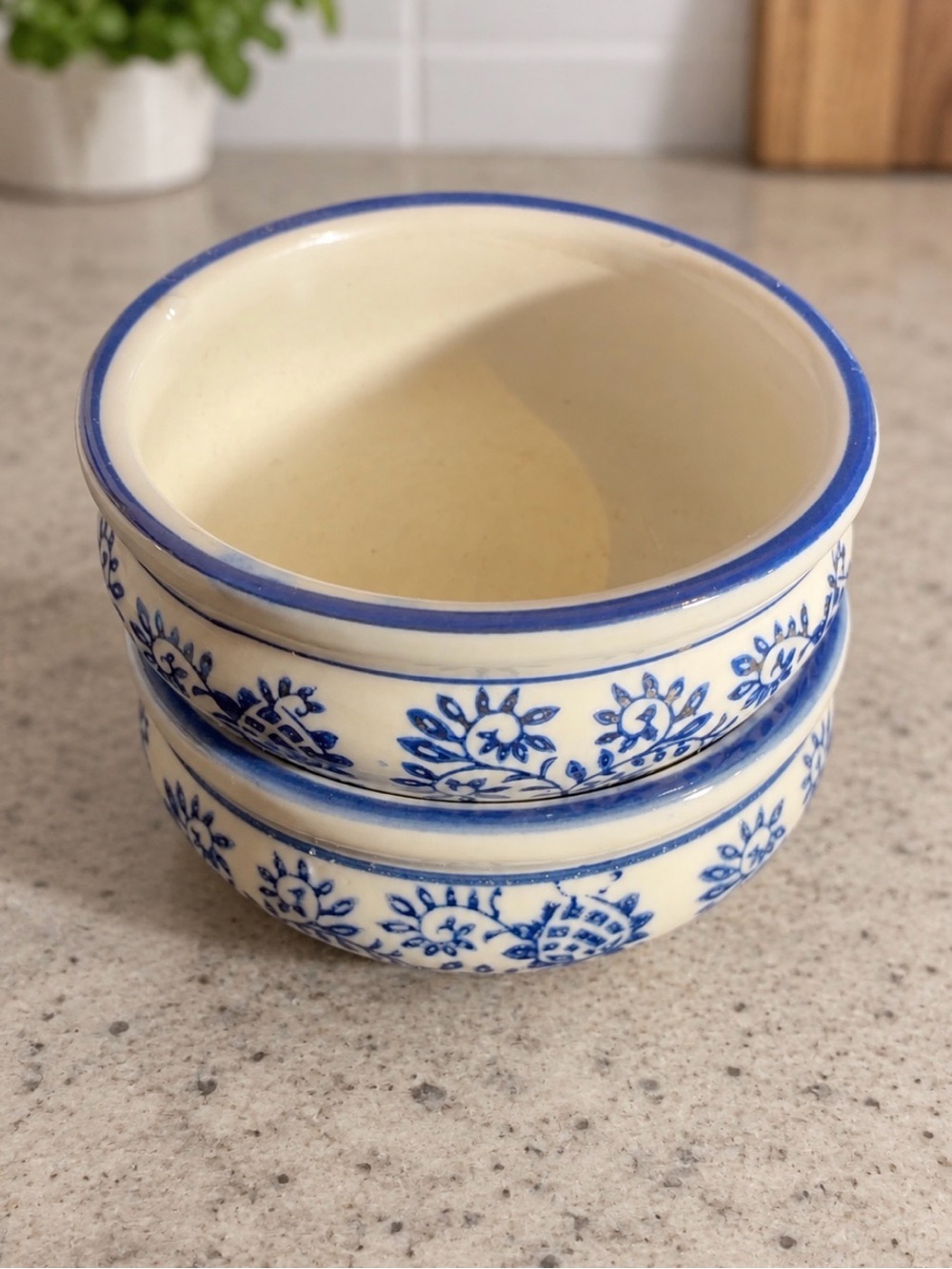 Set of 2 Blue & White Floral Ceramic Succulent Planters Cachepots